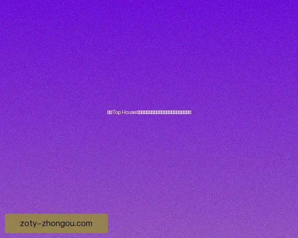 探索Top House背后的故事：一个理想居所的设计理念与创新实践